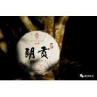 2019 年朗貢鋒范 全國統(tǒng)一價 ￥336